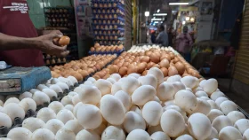 ডিমের ডজন দেড়শো, দাম বাড়ার নেপথ্যে কী