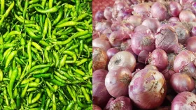 মরিচে ডাবল সেঞ্চুরি, কমলো পেঁয়াজের ঝাঁজ