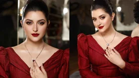 আমার জীবনের আনন্দ নিয়ে টানাটানি