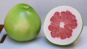 জ্বরে রুচি ফেরাবে যে সালাদ, রেসিপি জেনে রাখুন