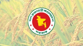 খাদ্য মন্ত্রণালয়ের রেকর্ড পরিমাণ ধান-চাল সংগ্রহ