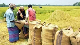 বোরো মৌসুমে ধান-চাল সংগ্রহে রেকর্ড