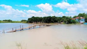 ফরিদপুরে পদ্মা নদীর পানি বৃদ্ধি, বন্যা-নদীভাঙনের শঙ্কা