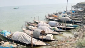 ভরা মৌসুমেও ইলিশ শূন্য পদ্মা!