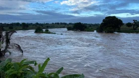 নাইজারে ভয়াবহ বন্যায় নিহত ৪৭