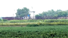 মেহেরপুর সীমান্ত থেকে বাংলাদেশিকে ধরে নিয়ে গেছে বিএসএফ