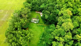 টাঙ্গাইলের মধুপুর গড় ‘বাংলাদেশের অ্যামাজন’