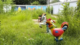 কোটি টাকার শিশু পার্কে এখন জঙ্গলে ঢাকা!