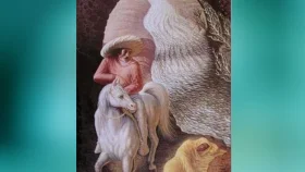 ছবিতে কী কী দেখতে পাচ্ছেন