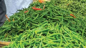 হিলি বন্দরে বেড়েছে কাঁচামরিচের আমদানি