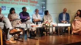 টেকসই বিদ্যুৎ খাতের জন্য বিনিয়োগ অপরিহার্য: সিপিডি