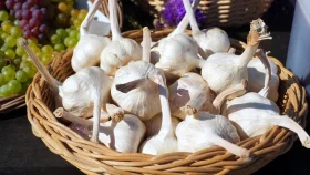 খালি পেটে রসুন খেলে কী হয়?