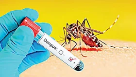 ডেঙ্গুতে মৃত্যু ৩, হাসপাতালে ভর্তি ৪১২