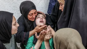 ইসরায়েলি হামলায় গাজায় নিহত আরও ৭৫