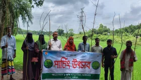 কাপাসিয়ায় ধানের পোকা নিধনে ‘পার্চিং উৎসব’