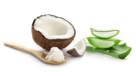 অ্যালোভেরা-নারকেল তেল: ত্বকের যত্নে কোনটি বেশি কার্যকর