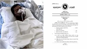 নুরের ওপর হামলার ঘটনা তদন্তে কমিশন গঠন করে প্রজ্ঞাপন