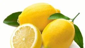 ওজন কমানোর পাশাপাশি রুখতে পারে ক্যান্সার