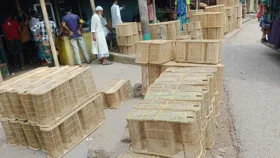 মুরাদনগরে জমজমাট মাছ ধরার আনতা হাট