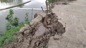 লালপুরে গ্রামীণ সড়কসহ ঘরবাড়ি নদীগর্ভে বিলীন