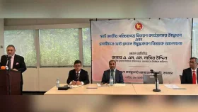 পোস্টাল ব্যালটের মাধ্যমে ভোট দিতে পারবেন প্রবাসীরা: সিইসি