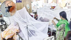 ডেঙ্গু আক্রান্তে আরও ৩ জনের মৃত্যু, হাসপাতালে ৯২৮