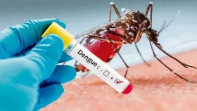 ডেঙ্গুতে ২৪ ঘণ্টায় আরও ৩ জনের মৃত্যু