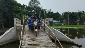 বাঁশের মই বেয়ে সেতু পারাপার, বিপাকে ৫ গ্রামের মানুষ