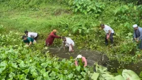 কালীগঞ্জে বিএনপি নেতার উদ্যোগে সড়ক ও খাল পরিষ্কার