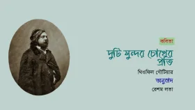 দুটি সুন্দর চোখের প্রতি ॥ থিওফিল গৌটিয়ার ॥ অনুবাদ: রেশম লতা