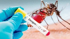 সরকারি হাসপাতালে বিনামূল্যে ডেঙ্গু পরীক্ষা