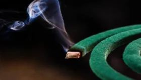 মশার কয়েলে শ্বাসকষ্ট ও ক্যান্সারের ঝুঁকি