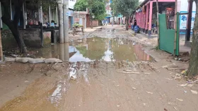 শ্রীপুরে সেপটিক ট্যাংকের পানিতে সড়কে জলাবদ্ধতা