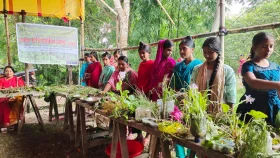 শ্যামনগরে ব্যতিক্রমী মেলা: বিলুপ্তিপ্রায় ৩৫ জলজ উদ্ভিদ প্রদর্শন