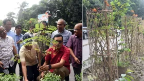 ডিএসসিসির ৩১ কিমি রোড সবুজায়নে বৃক্ষরোপণ উদ্বোধন