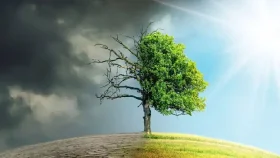 মানবসভ্যতার জন্য নাসার ভয়ংকর সতর্কবার্তা