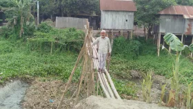 জাজিরায় ভাঙাচোরা বাঁশের সাঁকো দিয়ে ঝুঁকিপূর্ণ চলাচল