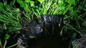 নিখোঁজের ৯ মাস পর পানির নিচ থেকে কঙ্কাল উদ্ধার