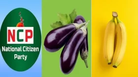 বেগুন, কলা, খাটসহ ৫০ প্রতীক দিলো ইসি, কোনটি নেবে এনসিপি 