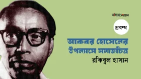 আকবর হোসেনের উপন্যাসে সমাজচিত্র ॥ রকিবুল হাসান