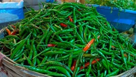কাঁচামরিচের কেজি ৪০০ টাকা