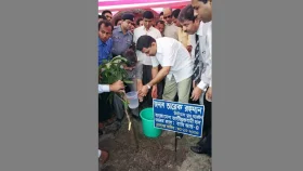 জাতীয় সবুজ মিশন চালুর ঘোষণা দিলেন তারেক রহমান