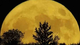 বাংলাদেশ থেকেও কি দেখা যাবে সুপারমুন