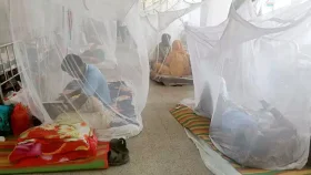 ডেঙ্গু আক্রান্ত হয়ে হাসপাতালে ভর্তি ৪৮৮ জন