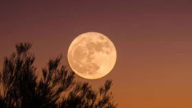 আজ রাতেই দেখা মিলবে সুপারমুনের