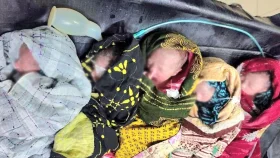 একসঙ্গে ৫ সন্তান জন্ম দিলেন লামিয়া