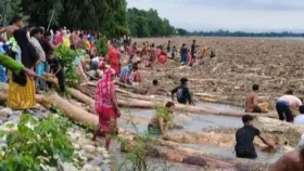ভারত থেকে ভেসে আসছে হাজার হাজার গাছের গুঁড়ি