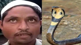 রাতে সাপ হয়ে কামড়ানোর চেষ্টা করেন স্ত্রী, অভিযোগ স্বামীর