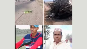 ওমানে সড়ক দুর্ঘটনায় ৮ বাংলাদেশি নিহত