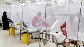 ২৪ ঘণ্টায় ডেঙ্গুতে আক্রান্ত ৩০৮